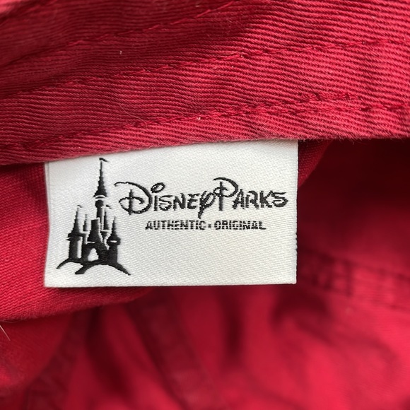 Disney expedition Everest hat - Picture 4 of 7